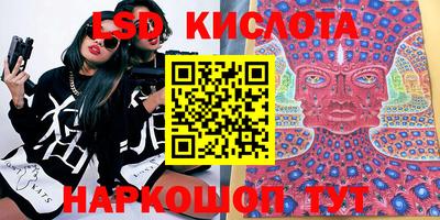 apvp Камышлов