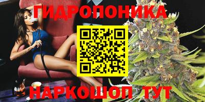 дмт Михайловск