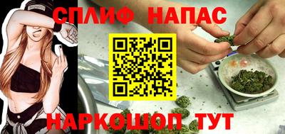 apvp Камышлов