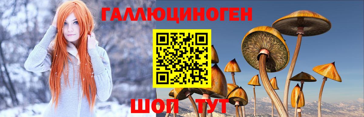 Касимов  Галлюциногенные грибы ЛСД  Вход с VPN  Галлюциногенные грибы ЛСД 
